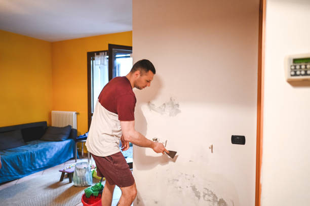 Best Office Mold Removal Services  in Saco, ME